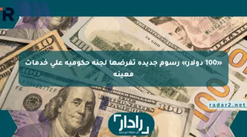 «100 دولار» رسوم جديدة تفرضها لجنة حكومية على خدمات معينة